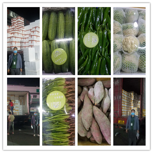 万利官网-相信品牌力量