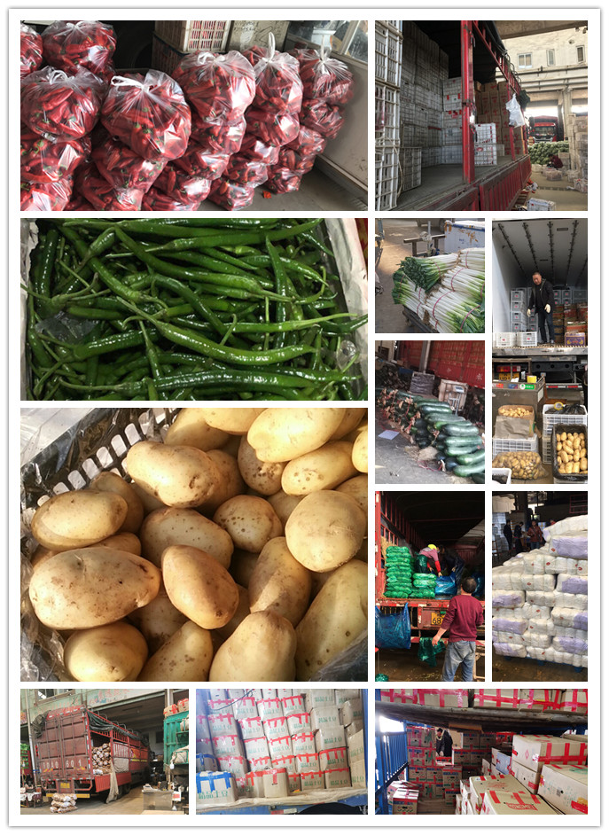 万利官网-相信品牌力量