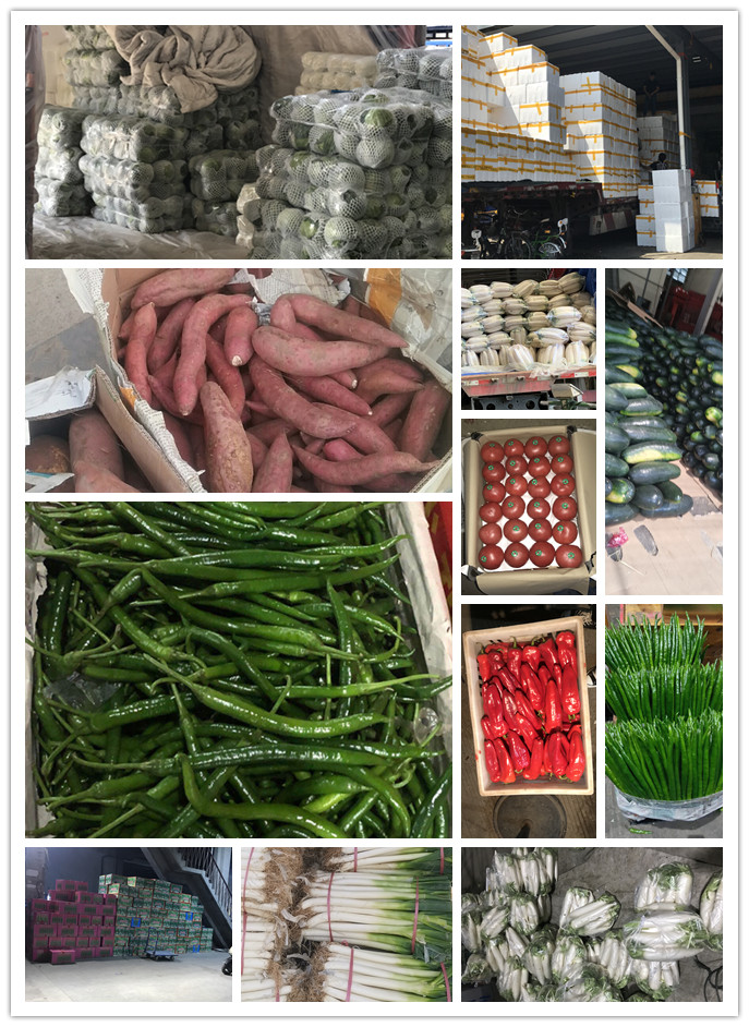 万利官网-相信品牌力量