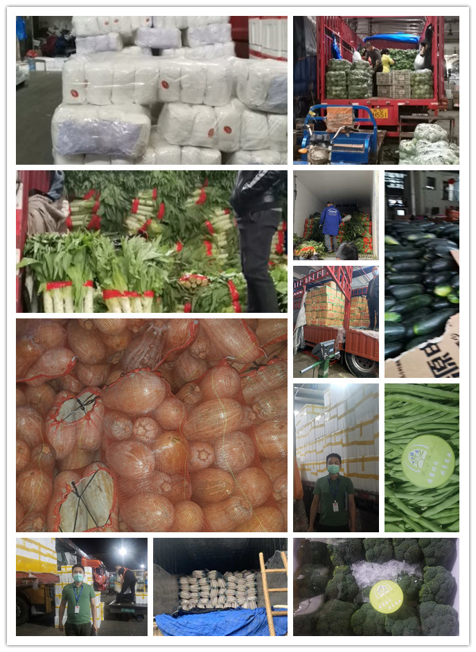 万利官网-相信品牌力量