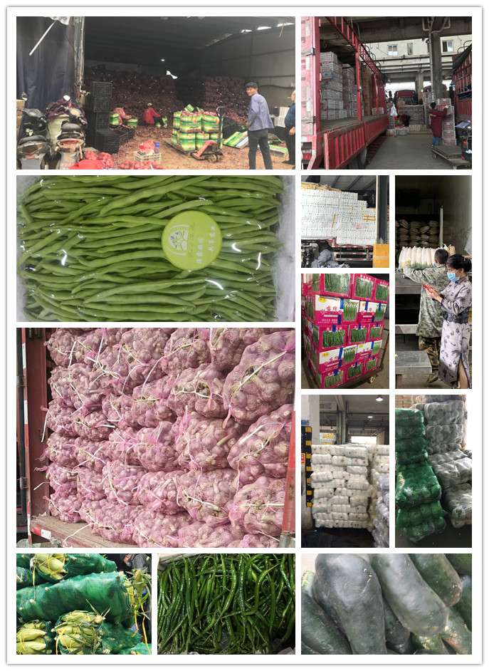 万利官网-相信品牌力量