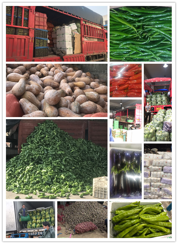 万利官网-相信品牌力量