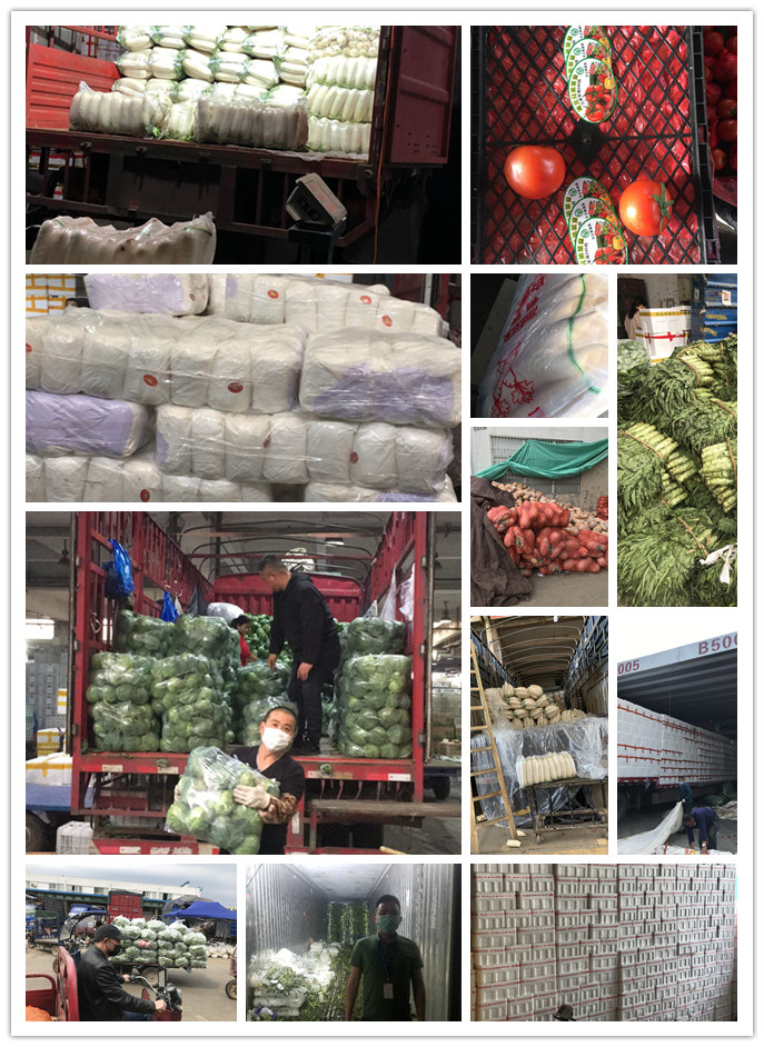 万利官网-相信品牌力量