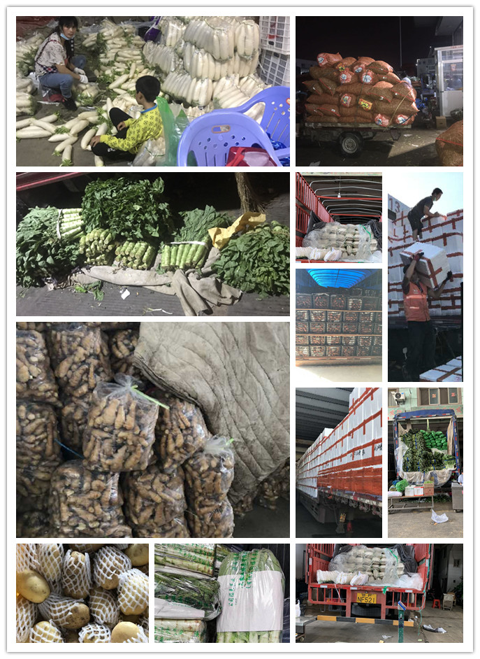 万利官网-相信品牌力量