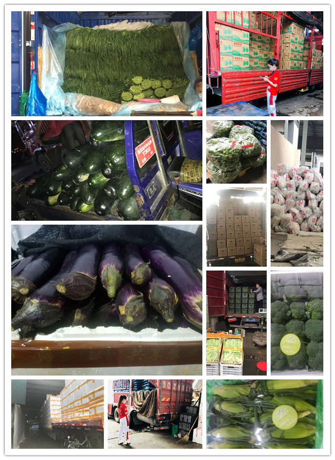 万利官网-相信品牌力量