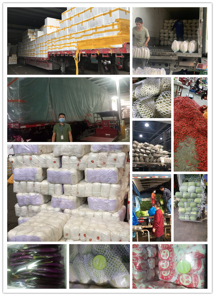 万利官网-相信品牌力量