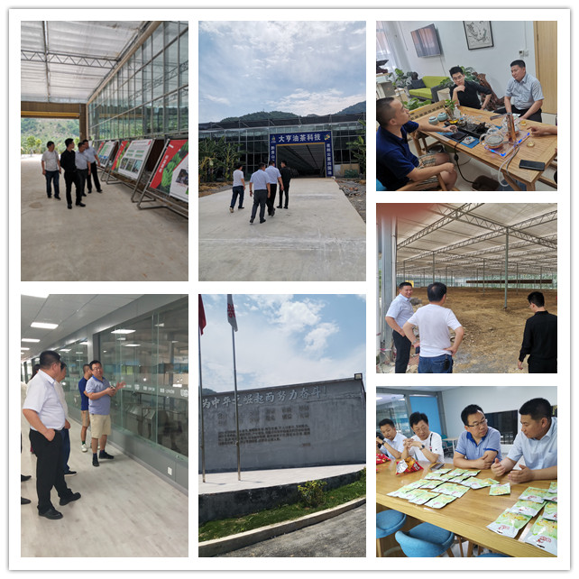 万利官网-相信品牌力量