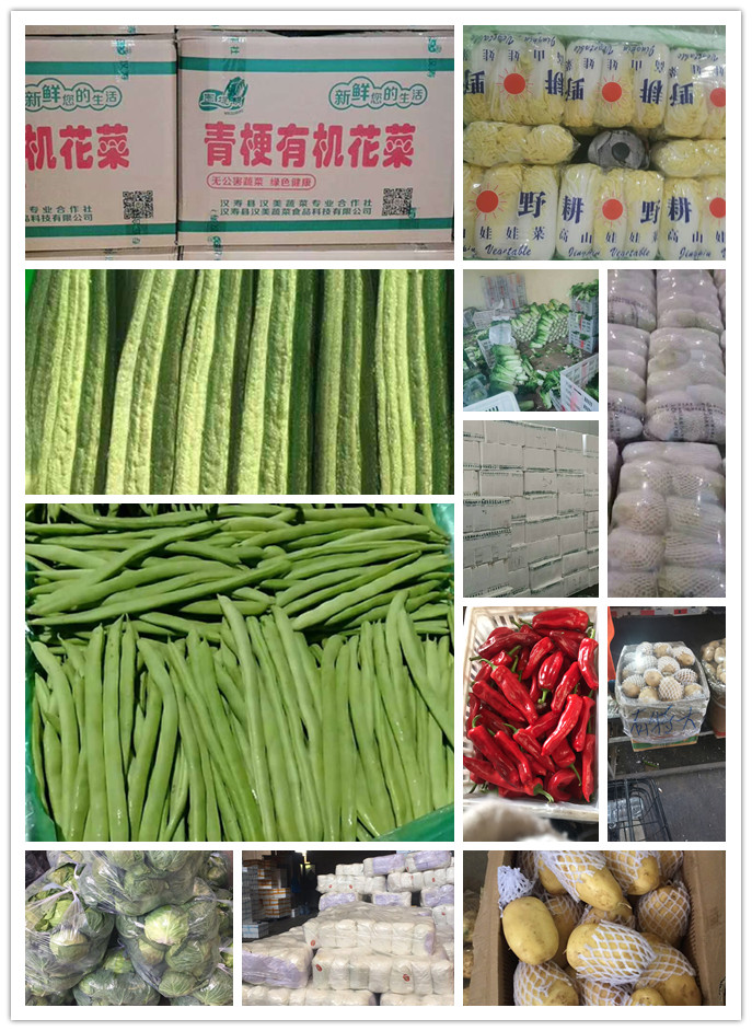 万利官网-相信品牌力量