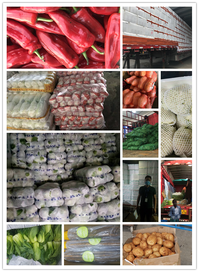 万利官网-相信品牌力量