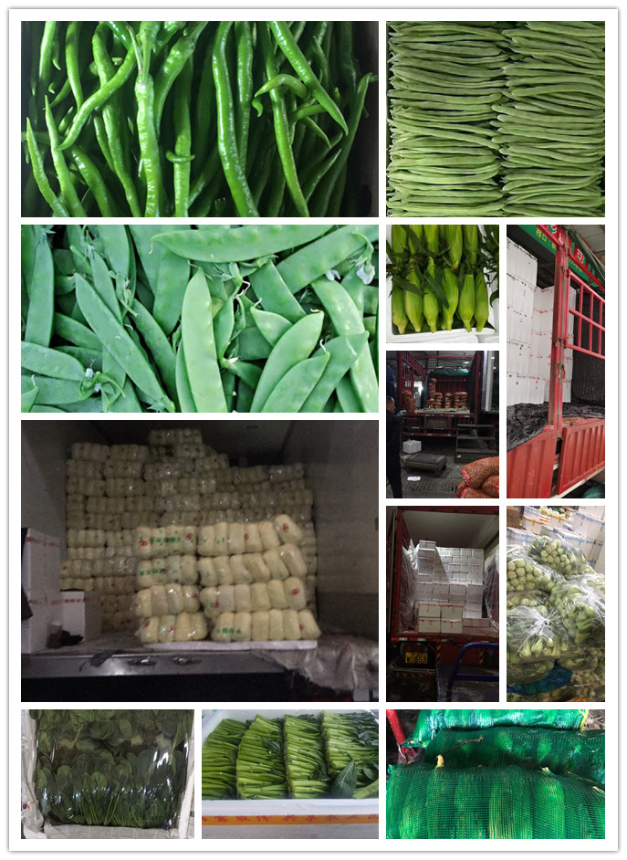 万利官网-相信品牌力量