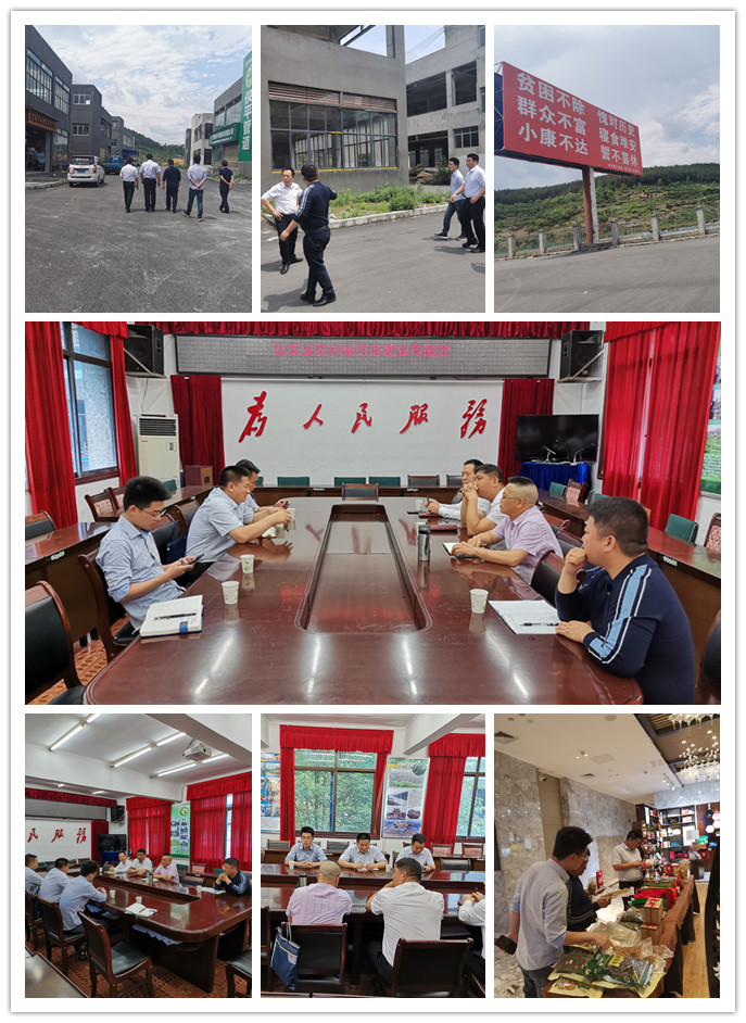 万利官网-相信品牌力量