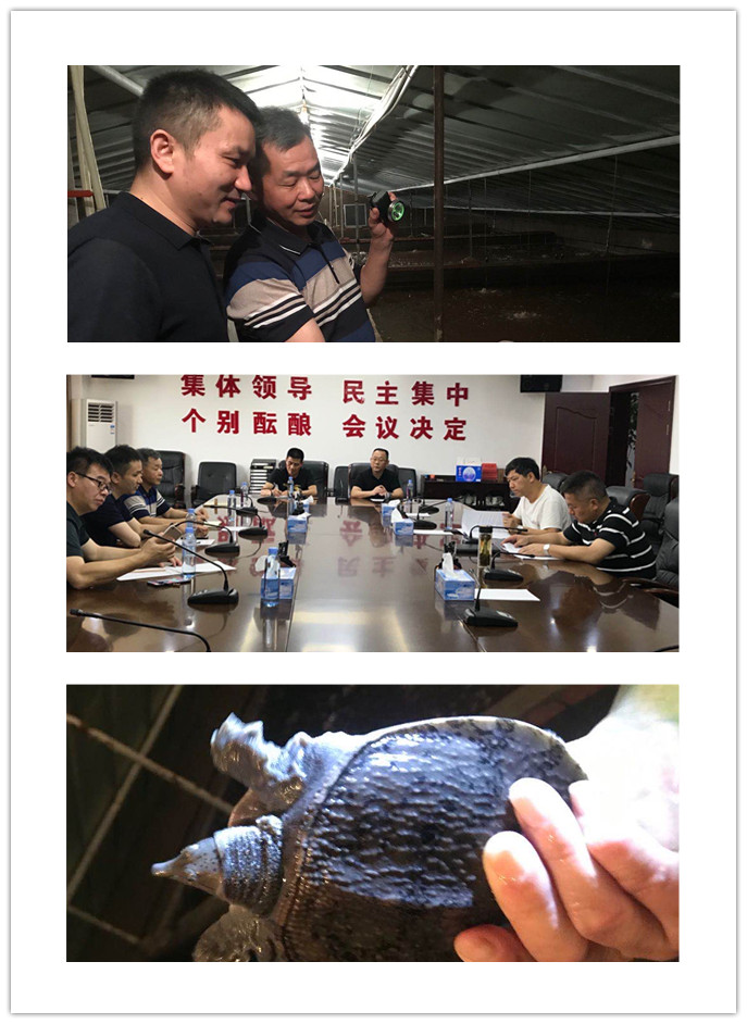 万利官网-相信品牌力量