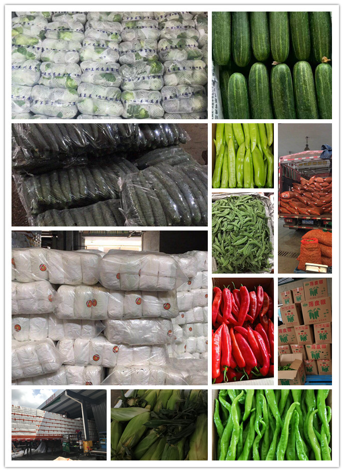 万利官网-相信品牌力量