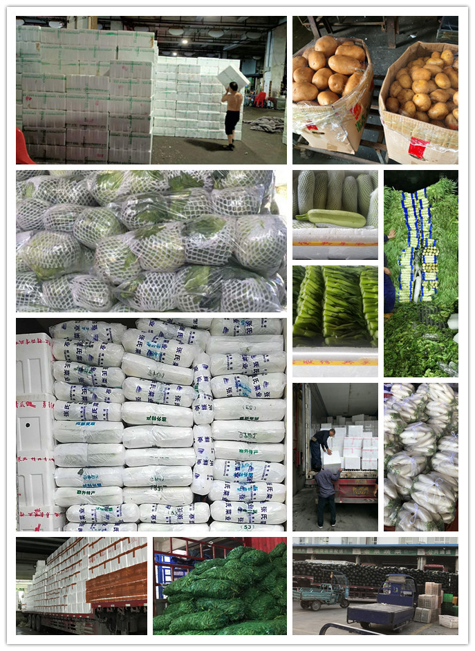 万利官网-相信品牌力量