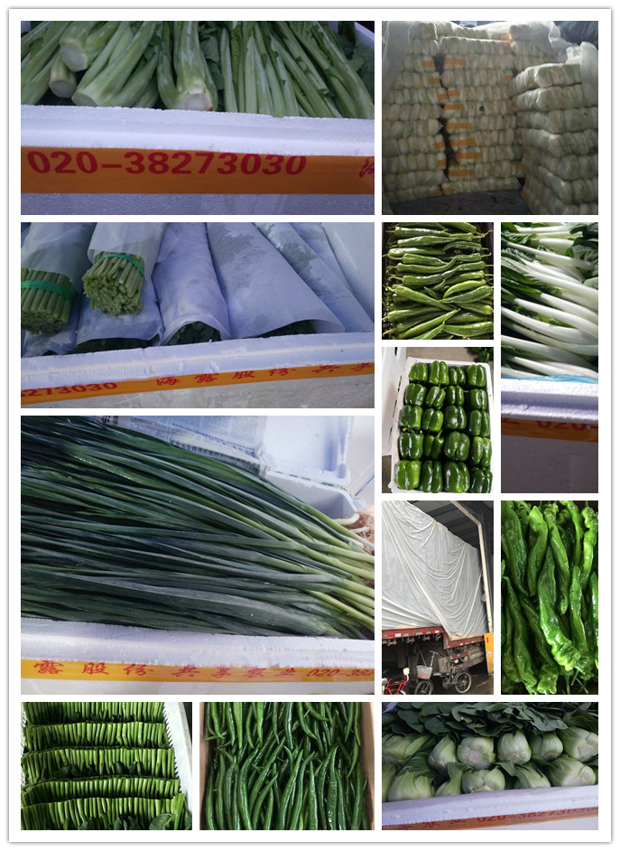 万利官网-相信品牌力量