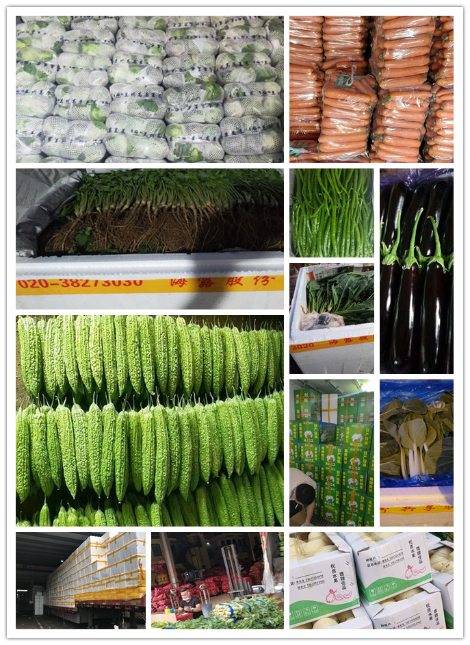 万利官网-相信品牌力量