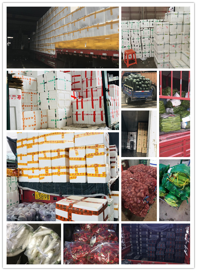 万利官网-相信品牌力量