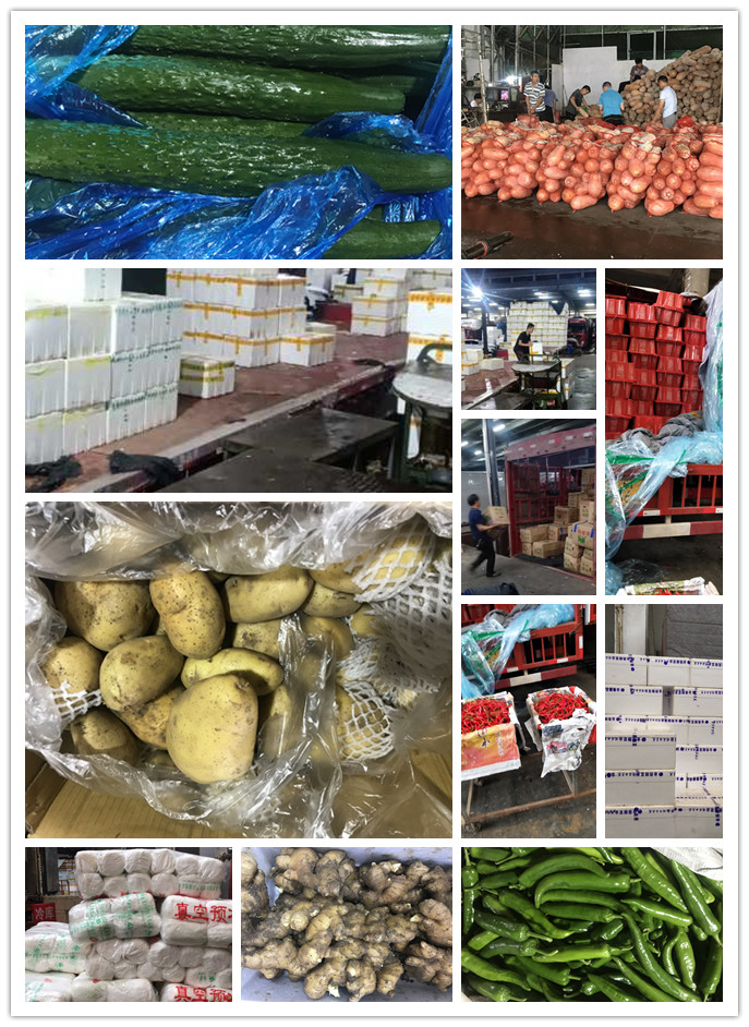 万利官网-相信品牌力量