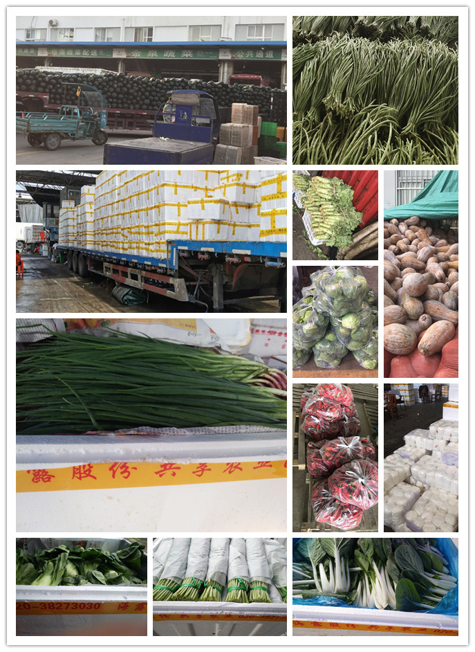 万利官网-相信品牌力量