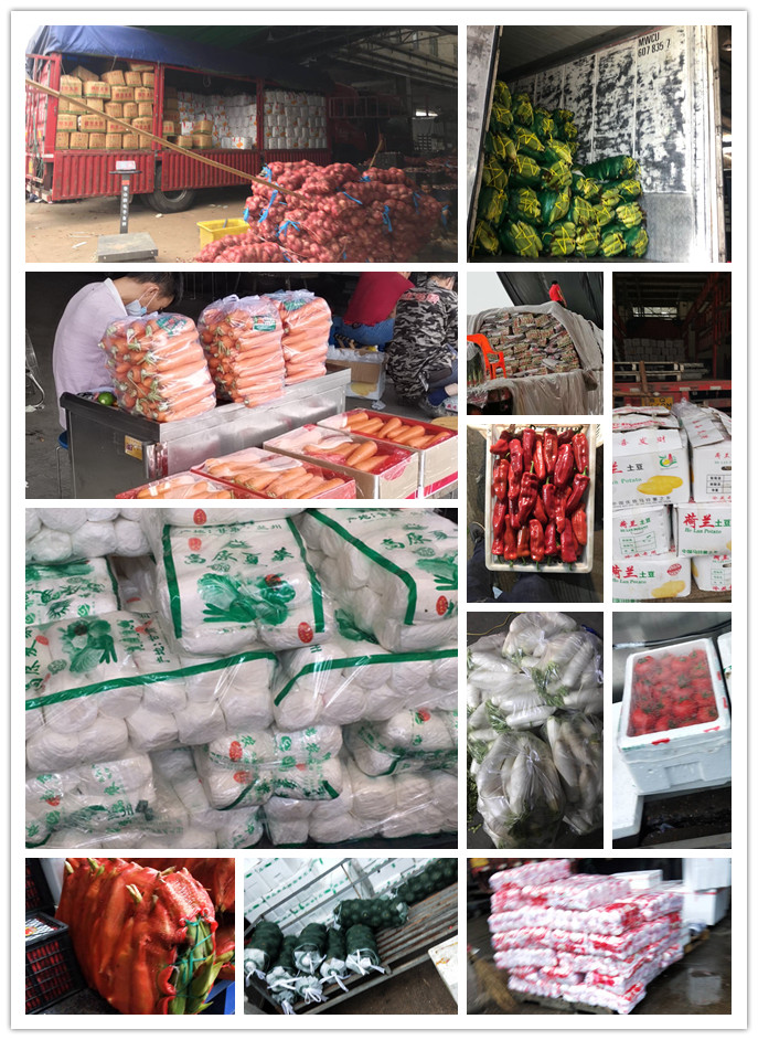 万利官网-相信品牌力量