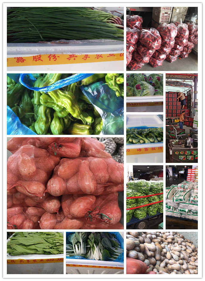 万利官网-相信品牌力量