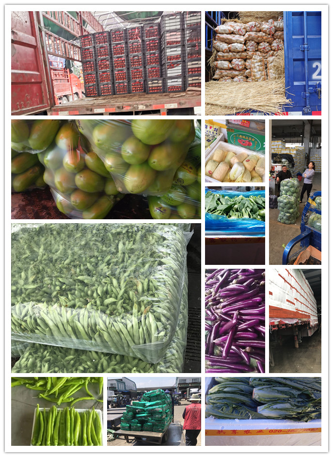 万利官网-相信品牌力量