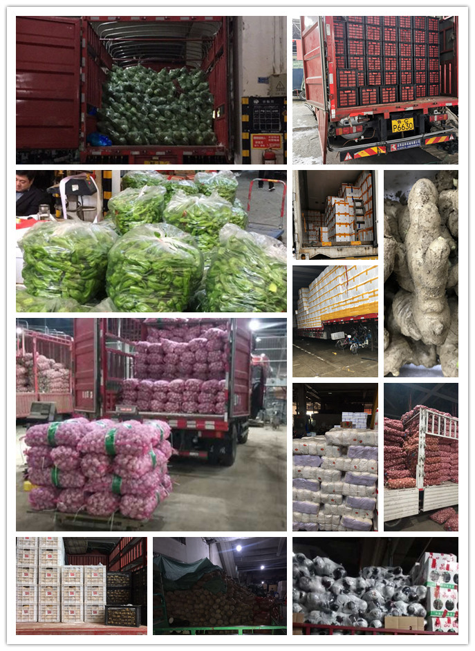 万利官网-相信品牌力量