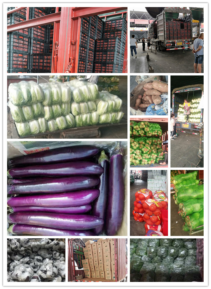 万利官网-相信品牌力量