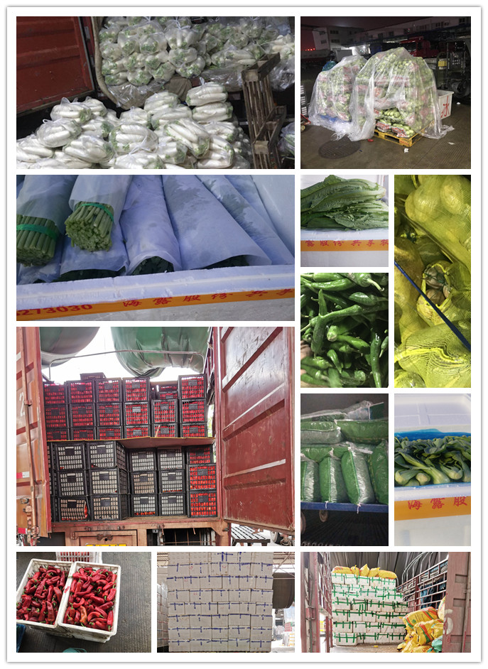 万利官网-相信品牌力量