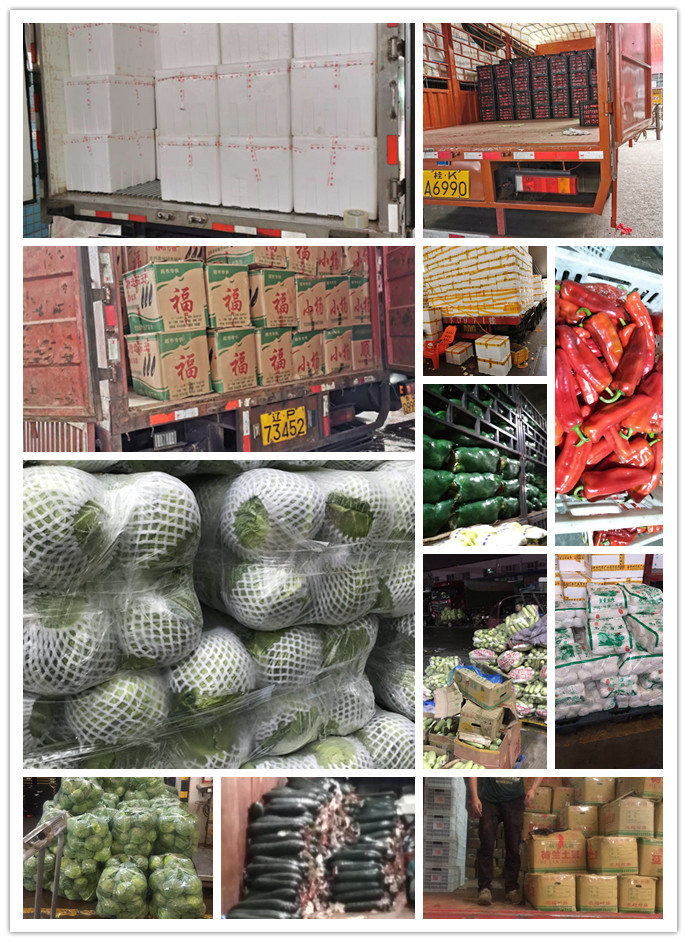 万利官网-相信品牌力量