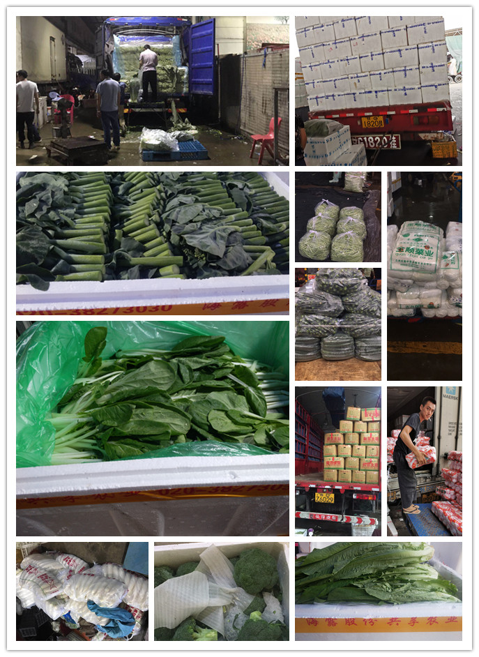 万利官网-相信品牌力量