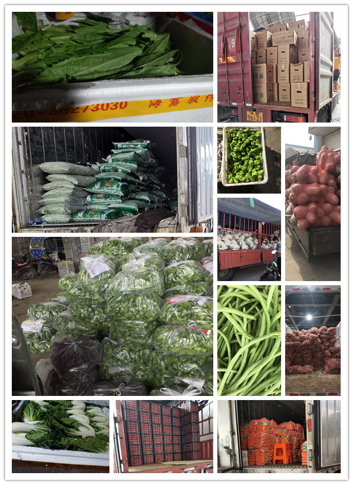 万利官网-相信品牌力量