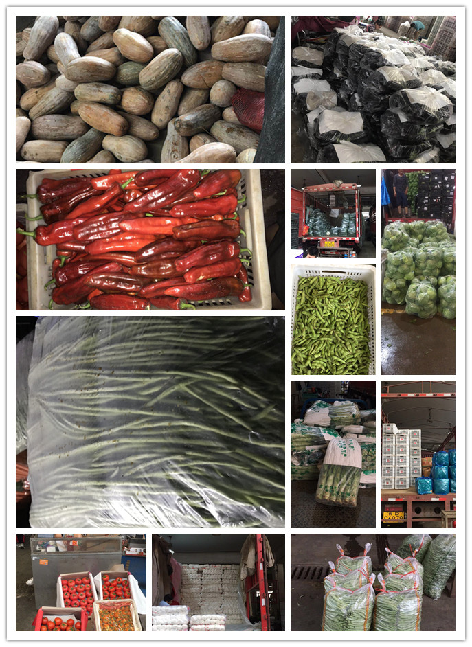 万利官网-相信品牌力量