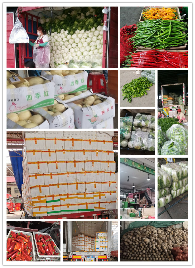 万利官网-相信品牌力量