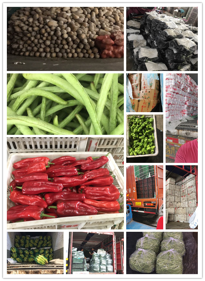 万利官网-相信品牌力量