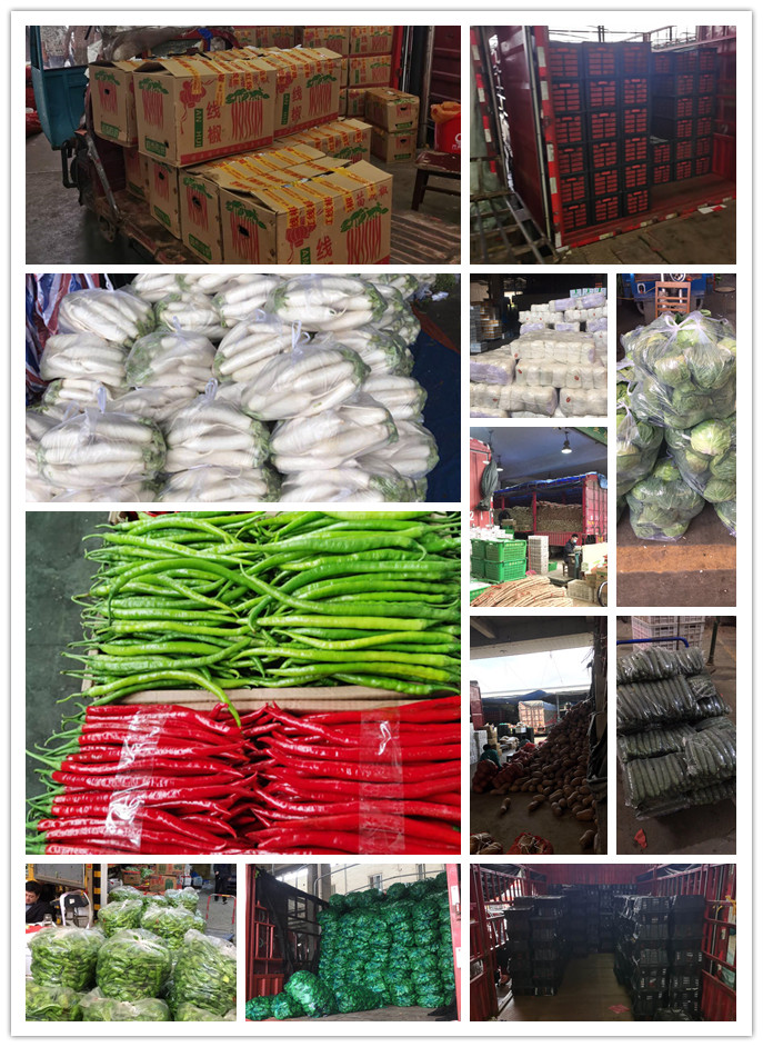 万利官网-相信品牌力量