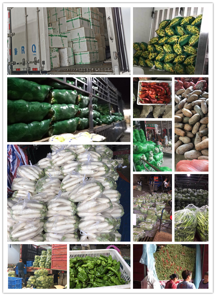 万利官网-相信品牌力量