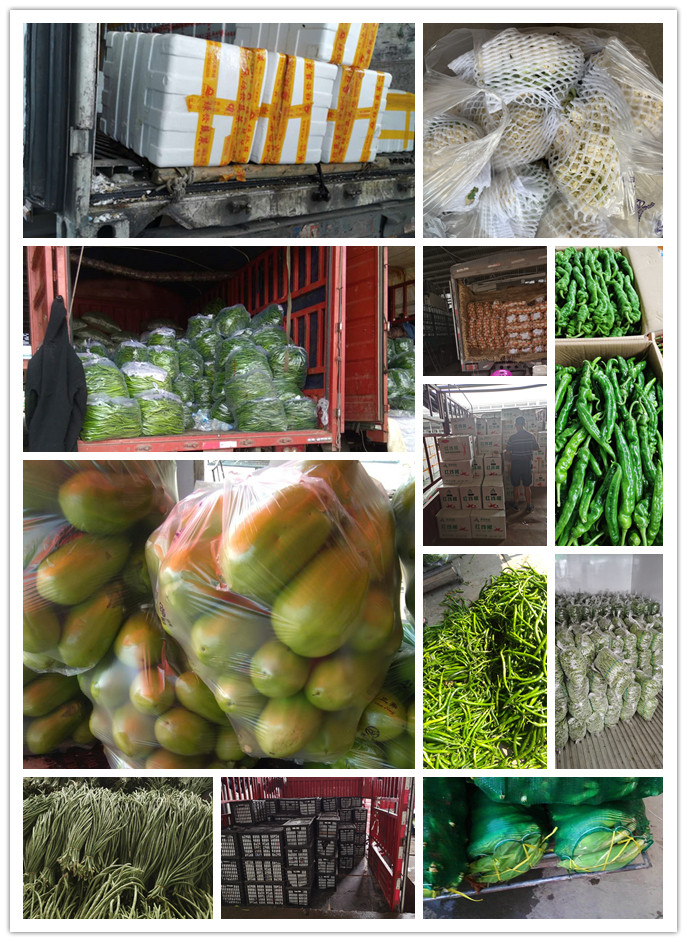 万利官网-相信品牌力量