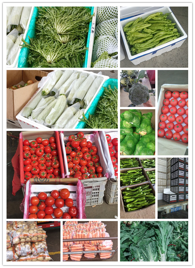 万利官网-相信品牌力量