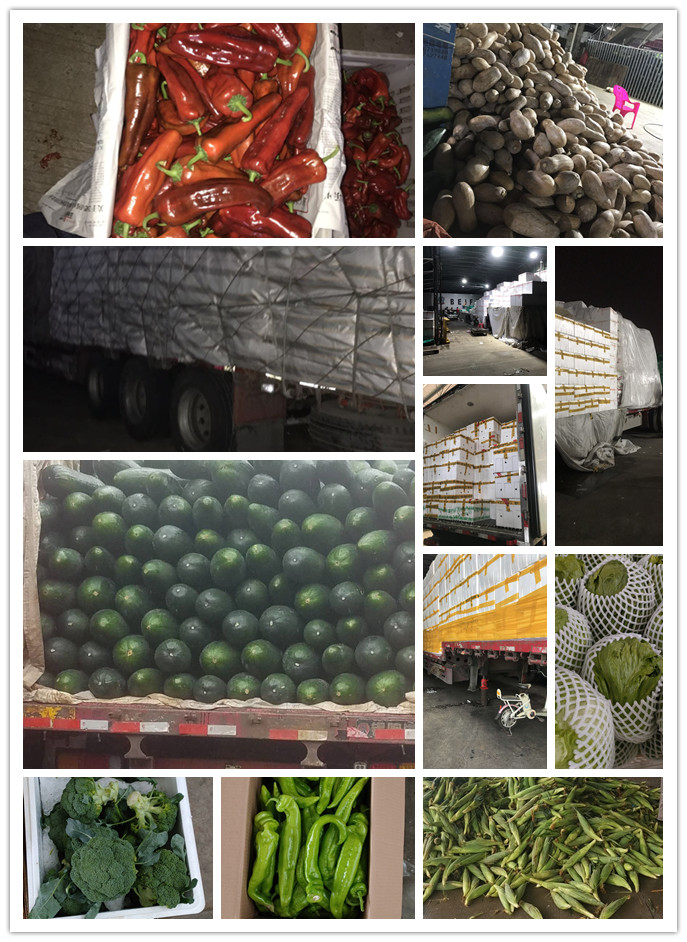 万利官网-相信品牌力量