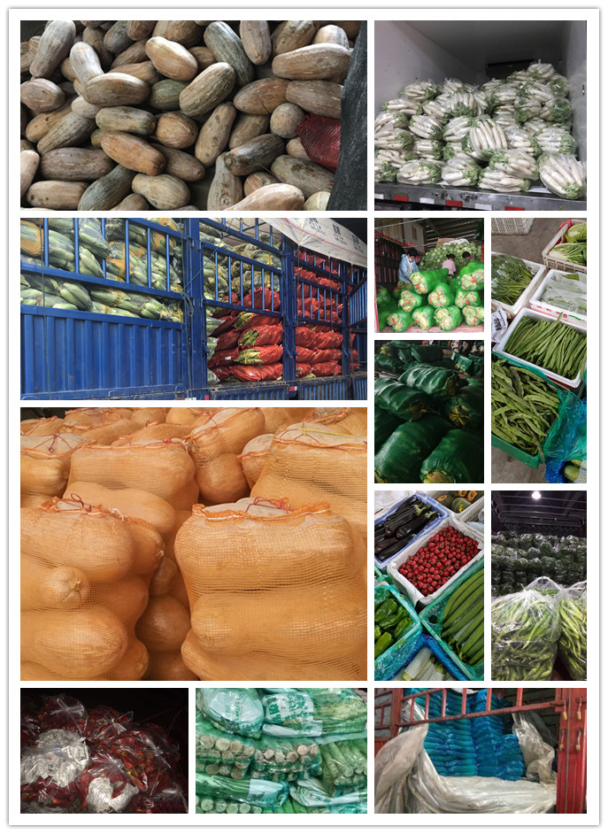 万利官网-相信品牌力量