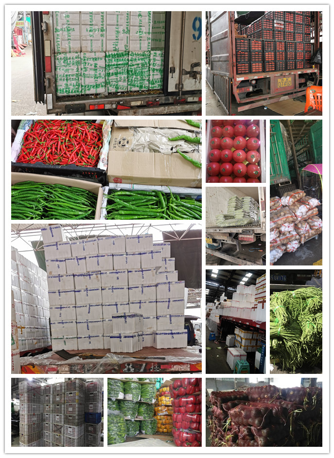 万利官网-相信品牌力量