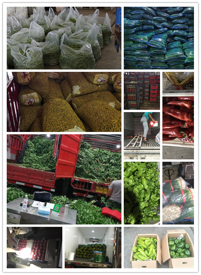 万利官网-相信品牌力量