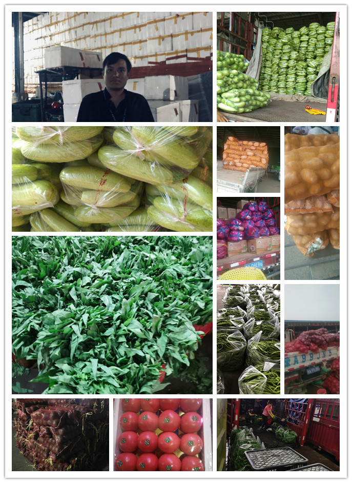 万利官网-相信品牌力量