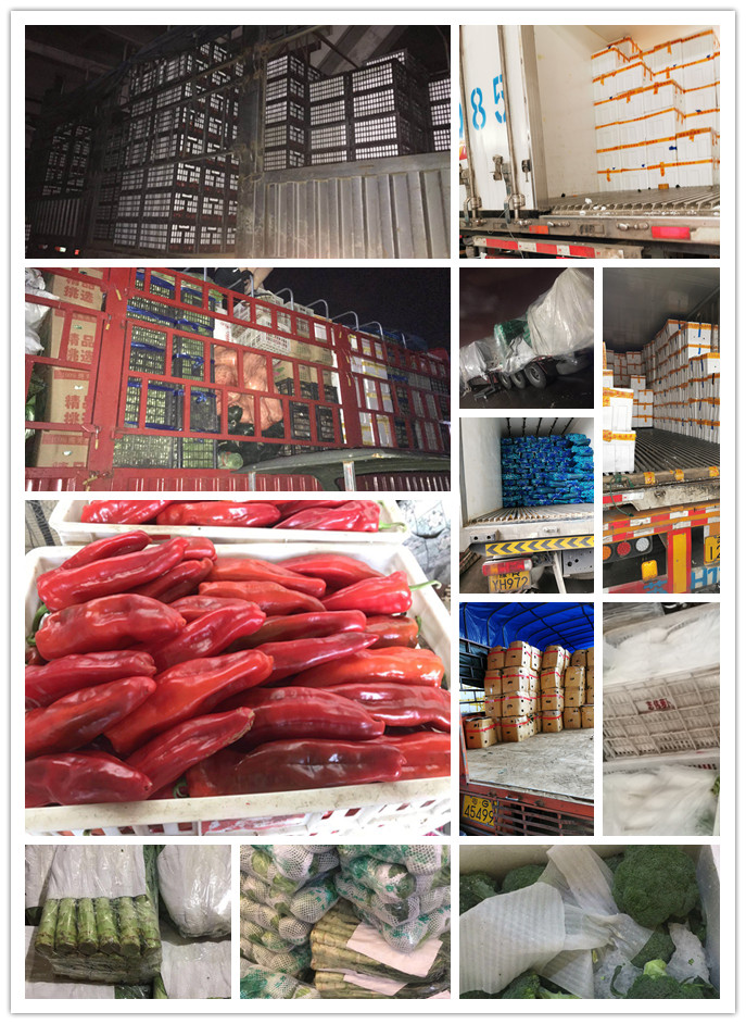 万利官网-相信品牌力量