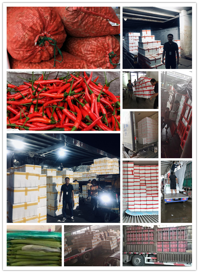 万利官网-相信品牌力量