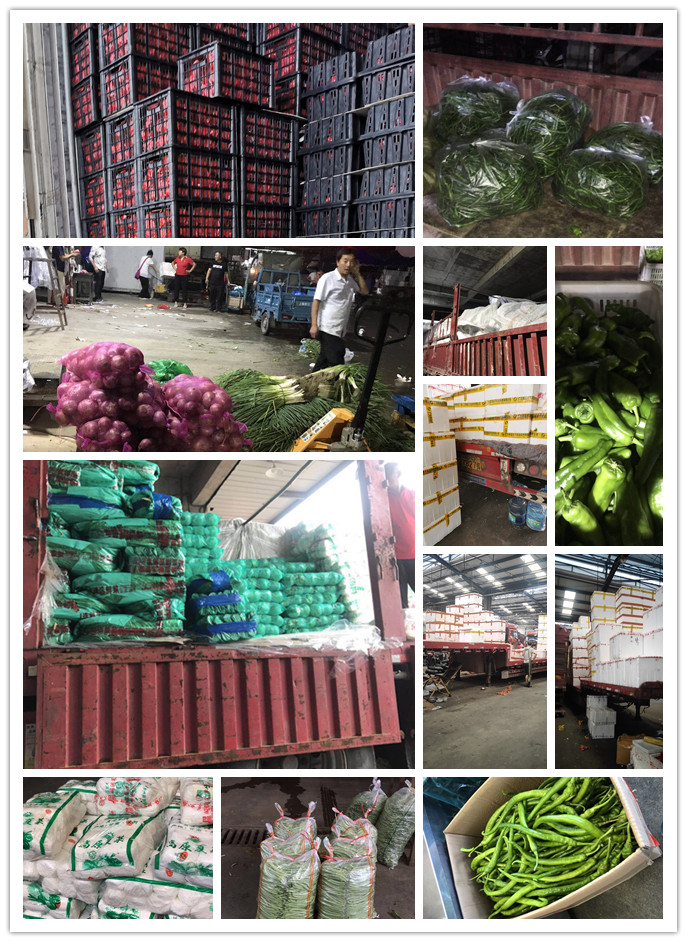 万利官网-相信品牌力量