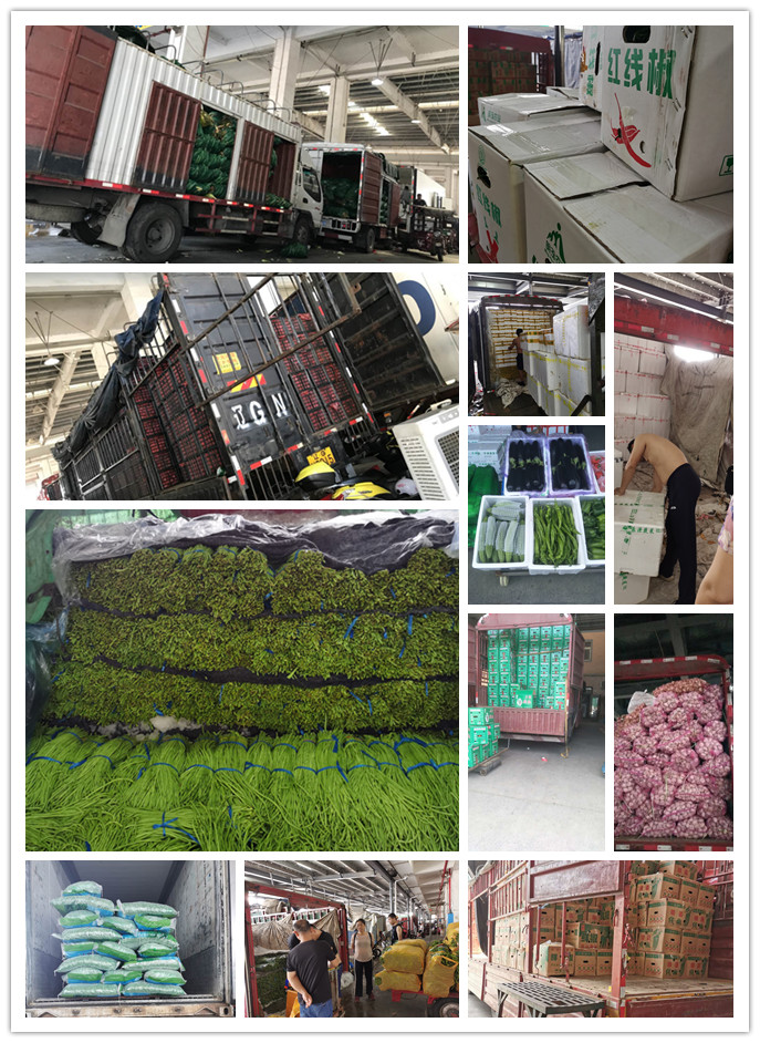 万利官网-相信品牌力量