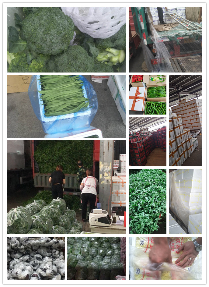 万利官网-相信品牌力量