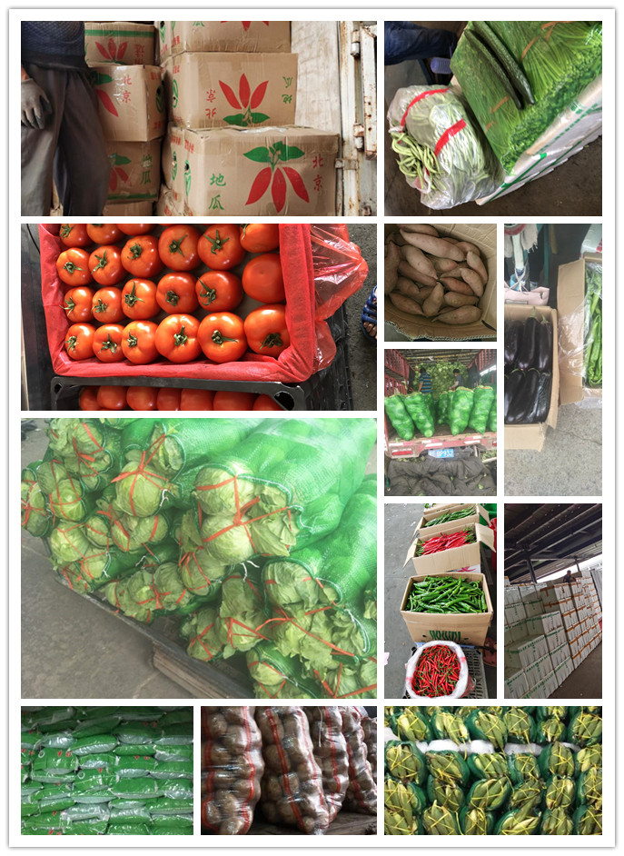 万利官网-相信品牌力量